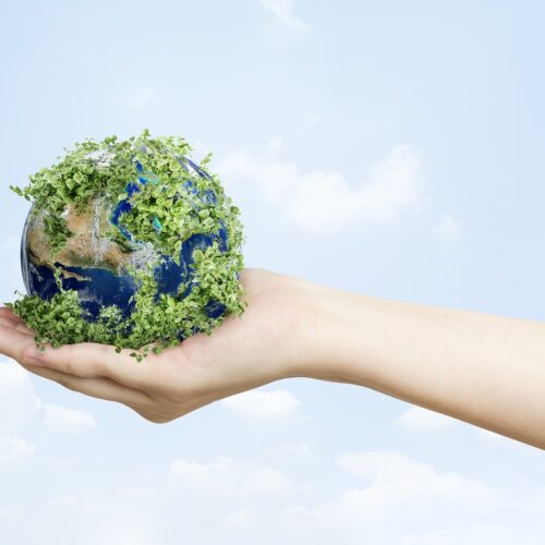 Día Internacional del Defensor del Medio Ambiente